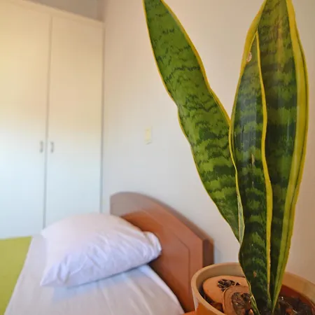 Apartment Andromeda C.apartament Alepou